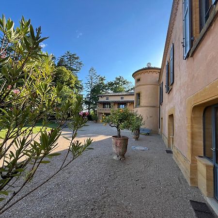 Chateau De Briante Saint-Lager Buitenkant foto
