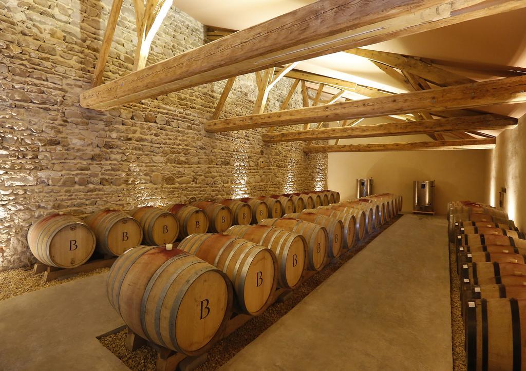 Chateau De Briante Saint-Lager Buitenkant foto